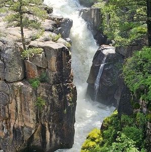 Meet your Posher, Ruth